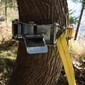 Système d'ancrage sur arbre PCA-1269